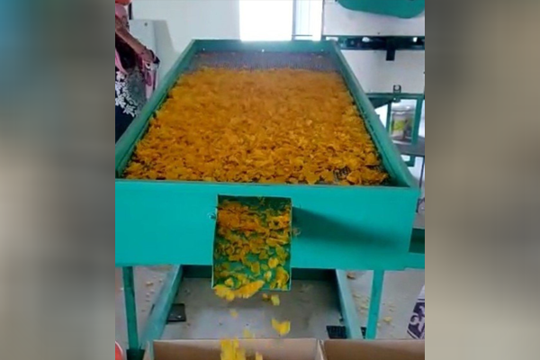 Maize Flakes Separator 